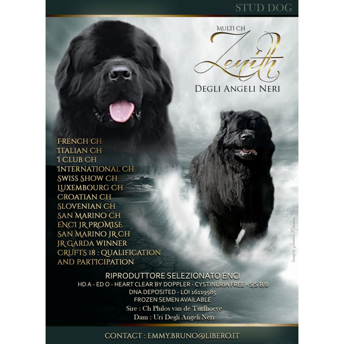 R Zenith degli Angeli Neri (07-05-2016)